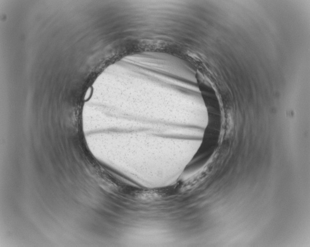 X0000088570759200706151646