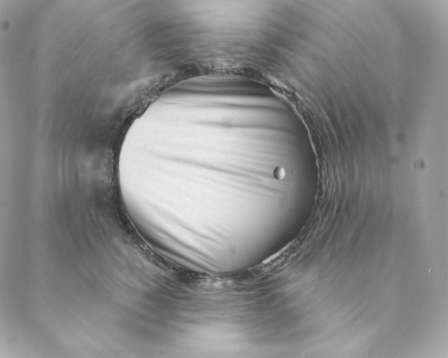 X0000088570760200706151646