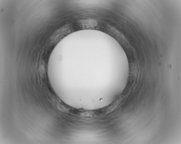 X0000088570761200706151646