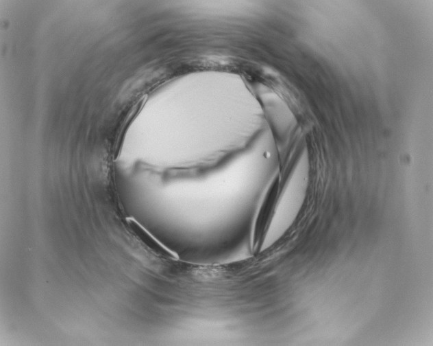 X0000088570762200706151646