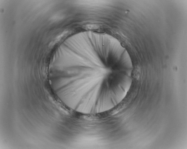 X0000088570763200706151646