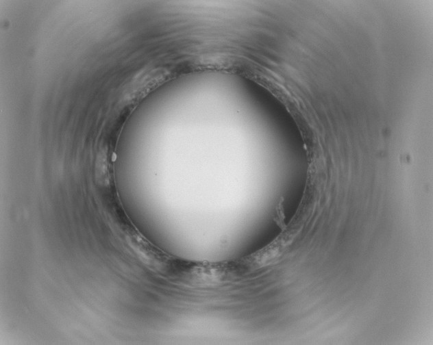 X0000088570764200706151646