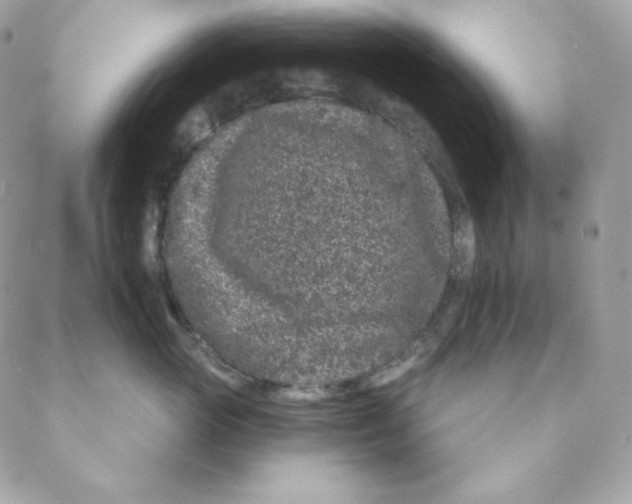 X0000088570765200706151646