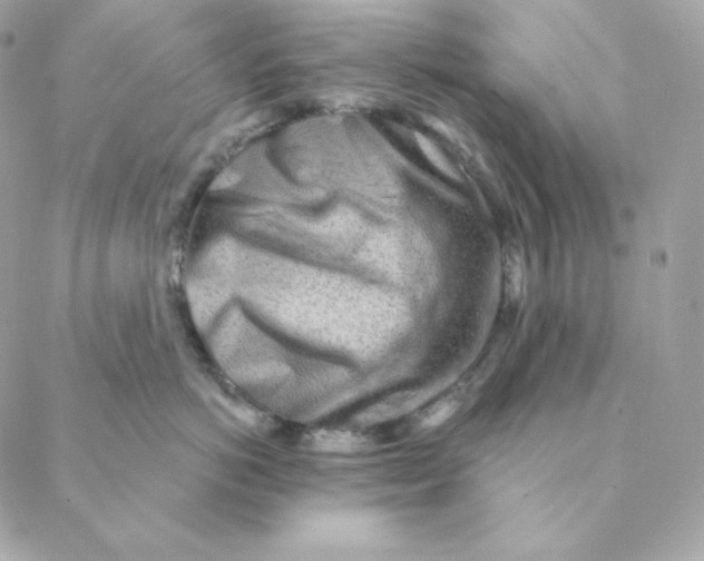 X0000088570766200706151646