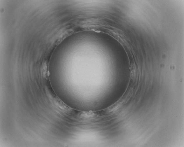 X0000088570767200706151646