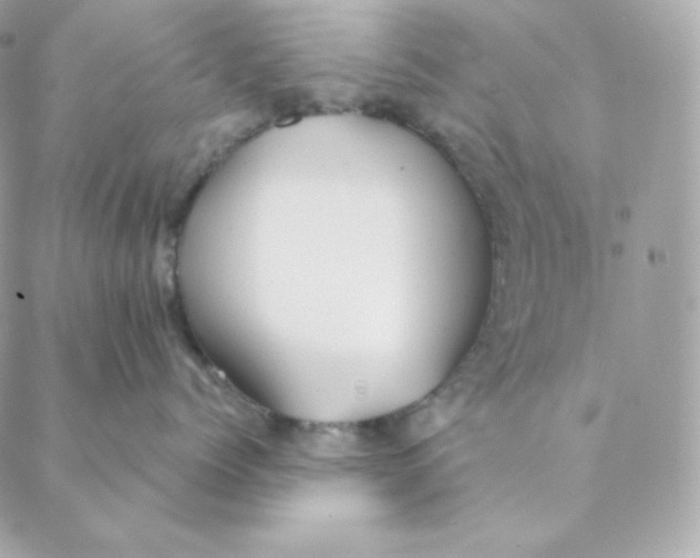 X0000088570768200706151646