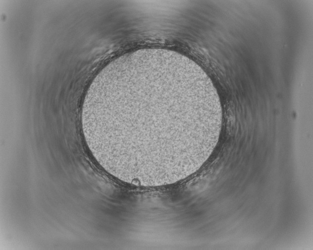 X0000088570769200706151645