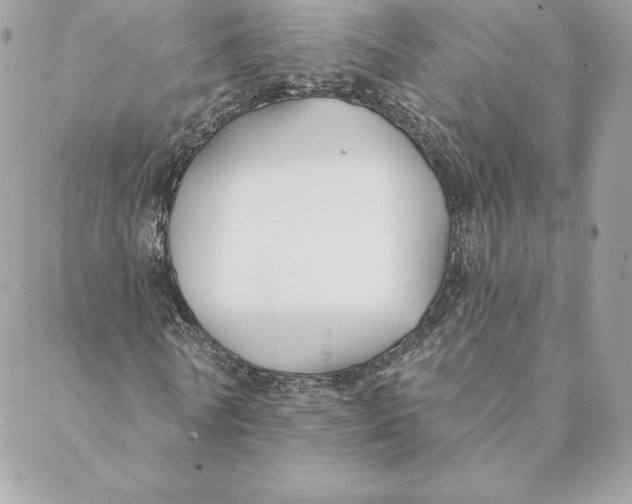 X0000088570770200706151645