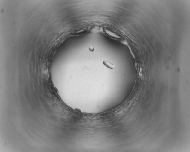 X0000088570771200706151645