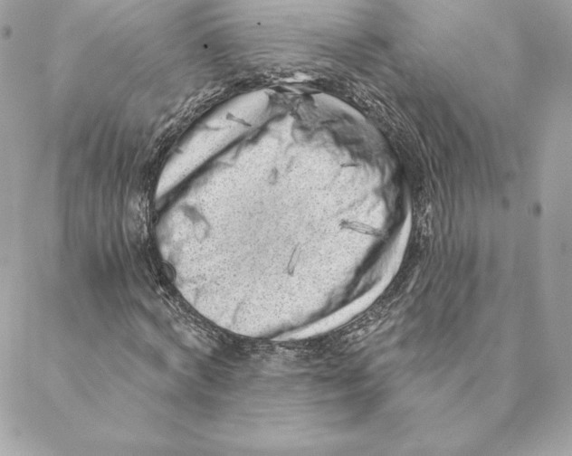 X0000088570772200706151645