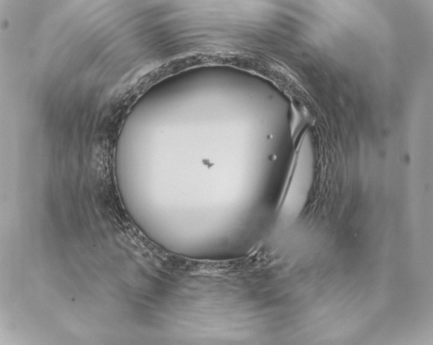 X0000088570773200706151645