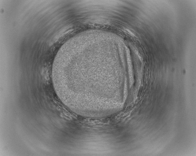 X0000088570774200706151645