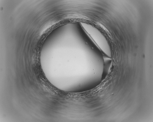 X0000088570775200706151645