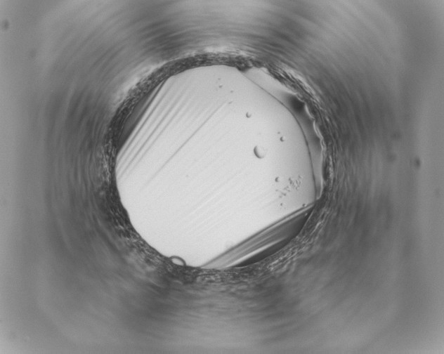 X0000088570776200706151645