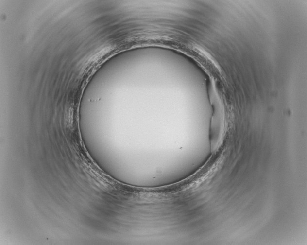 X0000088570777200706151645