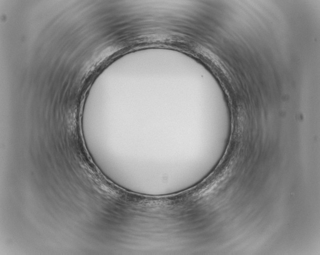 X0000088570778200706151645