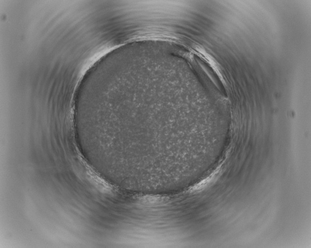 X0000088570779200706151645