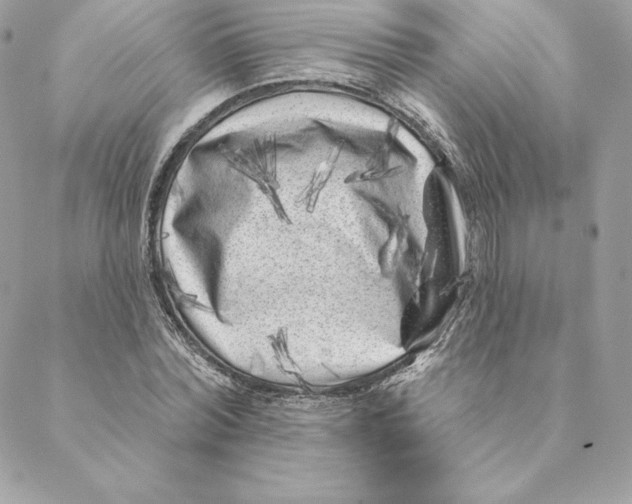 X0000088570780200706151645