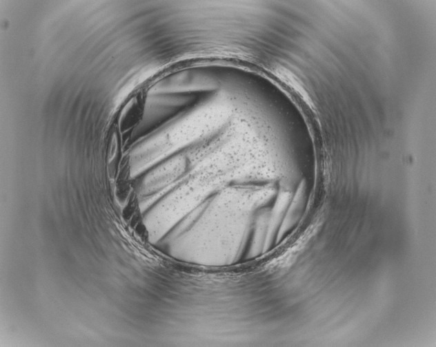 X0000088570781200706151645