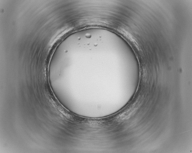 X0000088570782200706151645