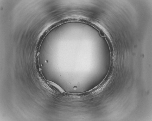 X0000088570783200706151645