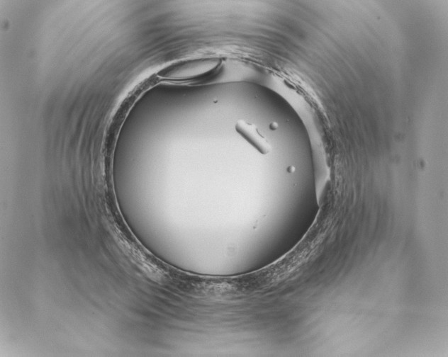 X0000088570784200706151645