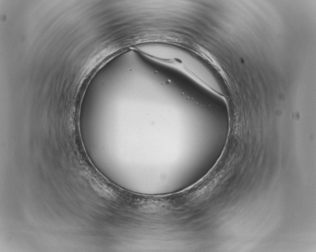 X0000088570786200706151645