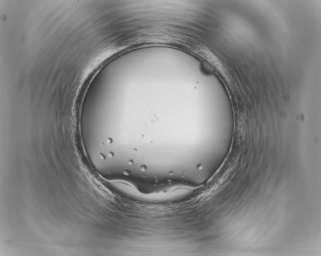 X0000088570787200706151645