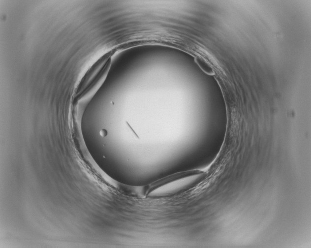 X0000088570788200706151645