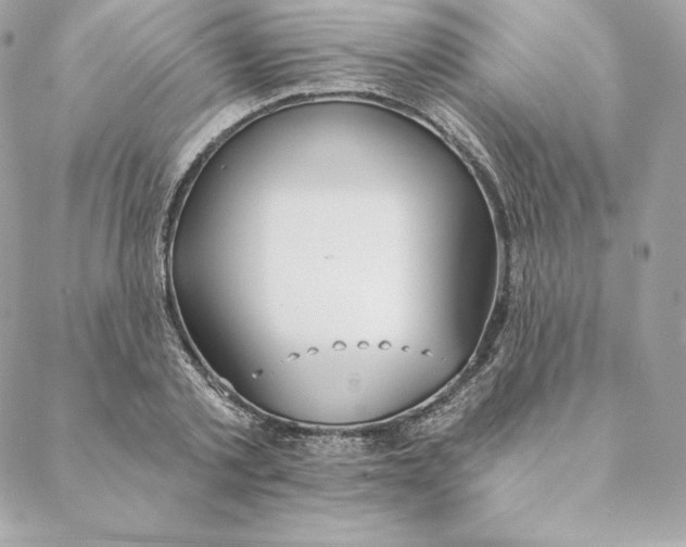 X0000088570789200706151645