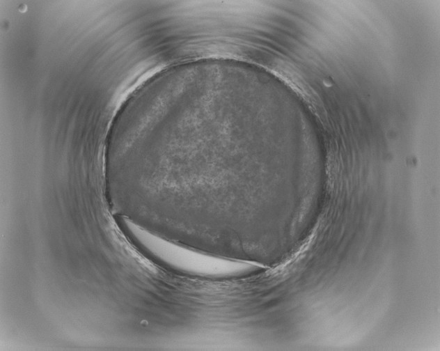 X0000088570790200706151645