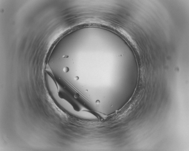 X0000088570791200706151645