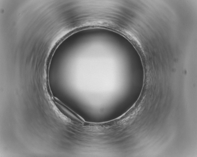 X0000088570792200706151645