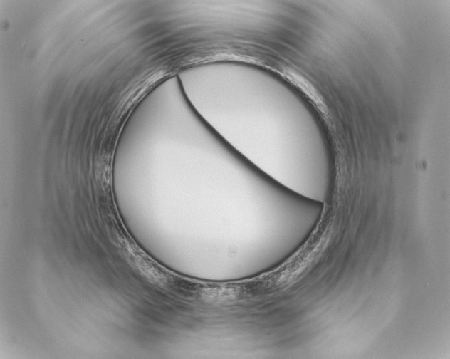 X0000088570793200706151645