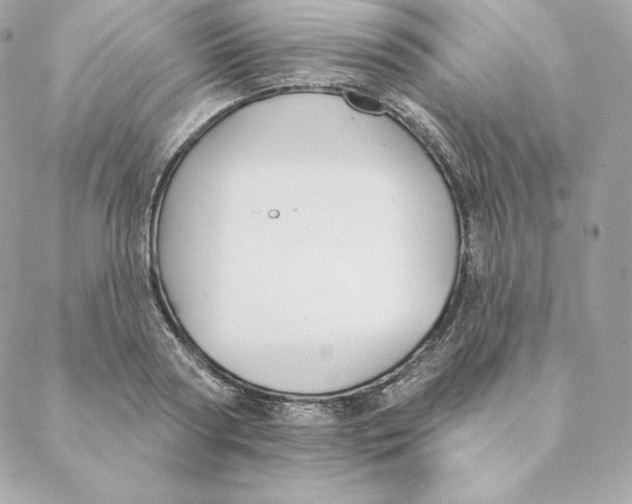 X0000088570794200706151645