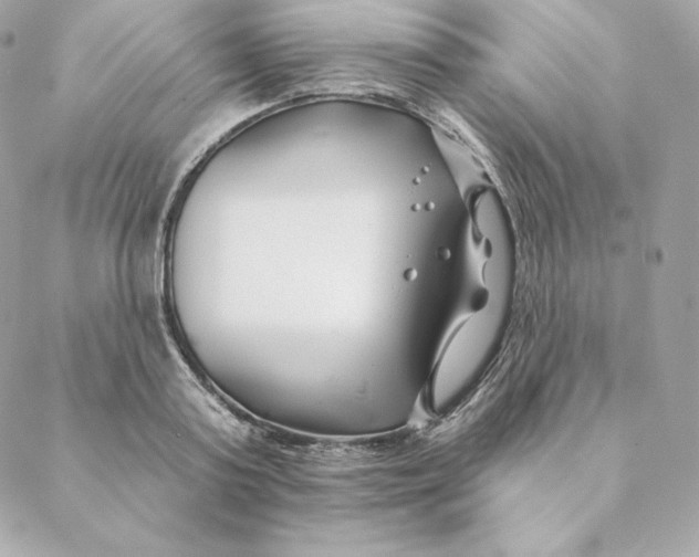 X0000088570795200706151645