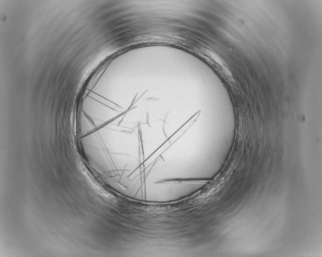 X0000088570796200706151645