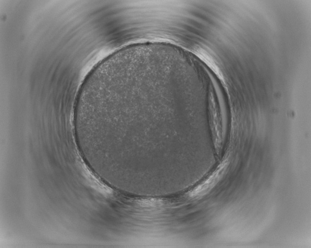 X0000088570797200706151645