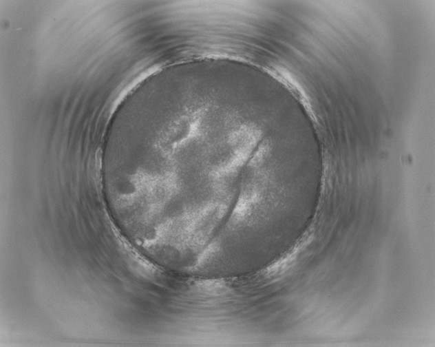 X0000088570798200706151645