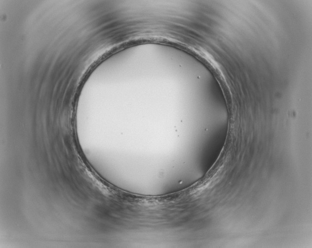 X0000088570799200706151645