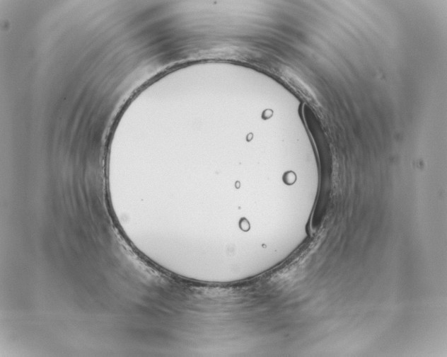 X0000088570800200706151645