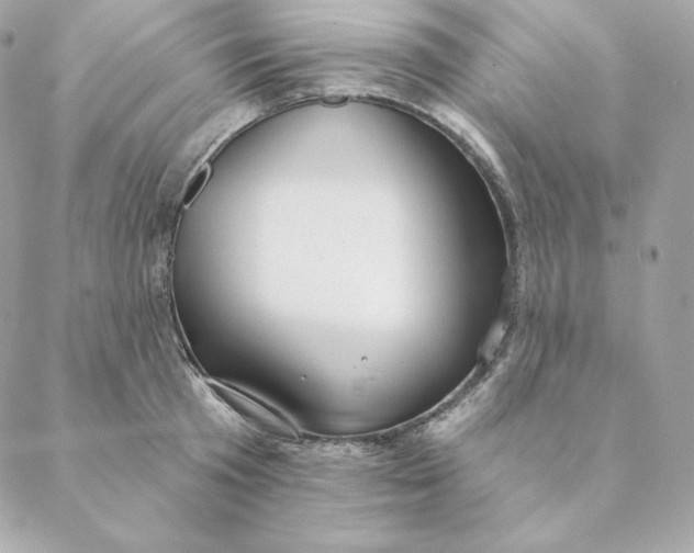 X0000088570801200706151645