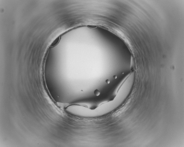 X0000088570803200706151645