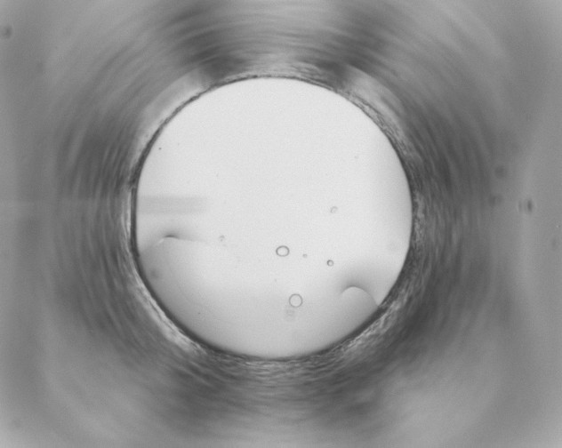 X0000088570804200706151645