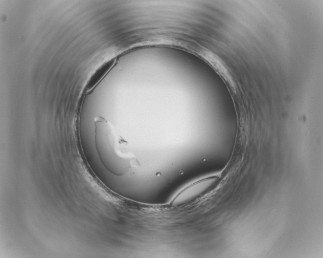 X0000088570805200706151645