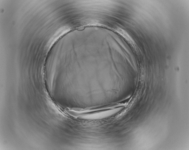 X0000088570806200706151645