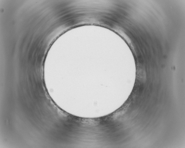 X0000088570807200706151645