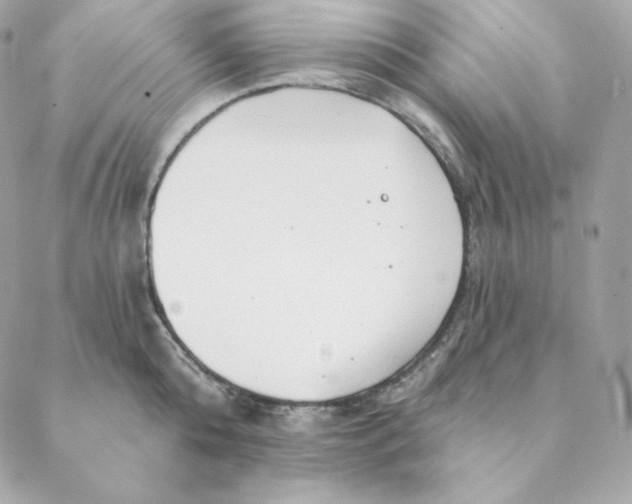 X0000088570808200706151645