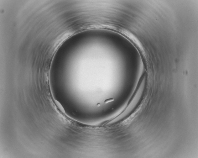 X0000088570809200706151645