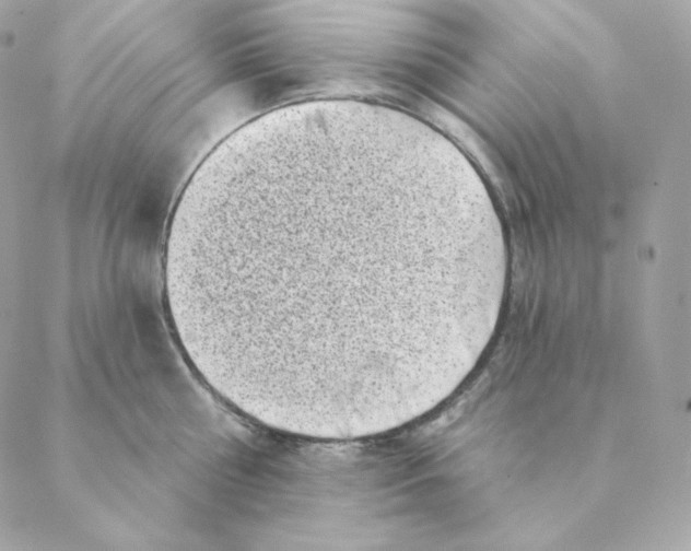 X0000088570810200706151645